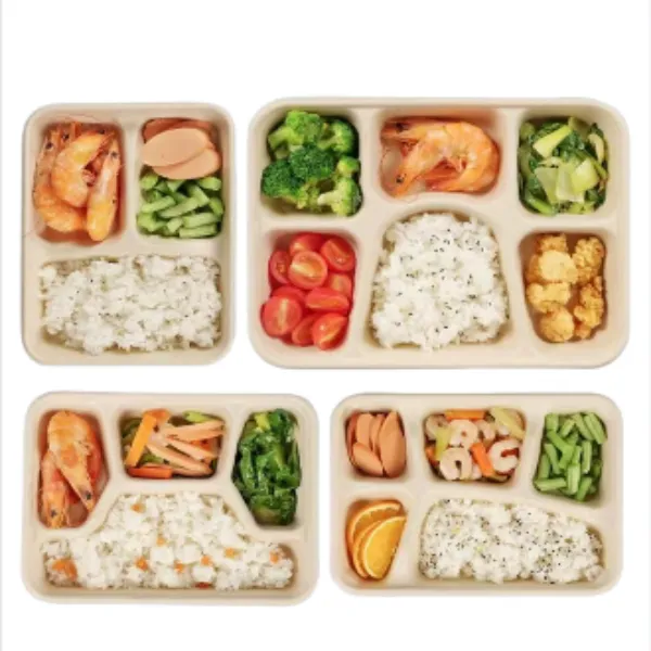 bagasse multidunctional tray