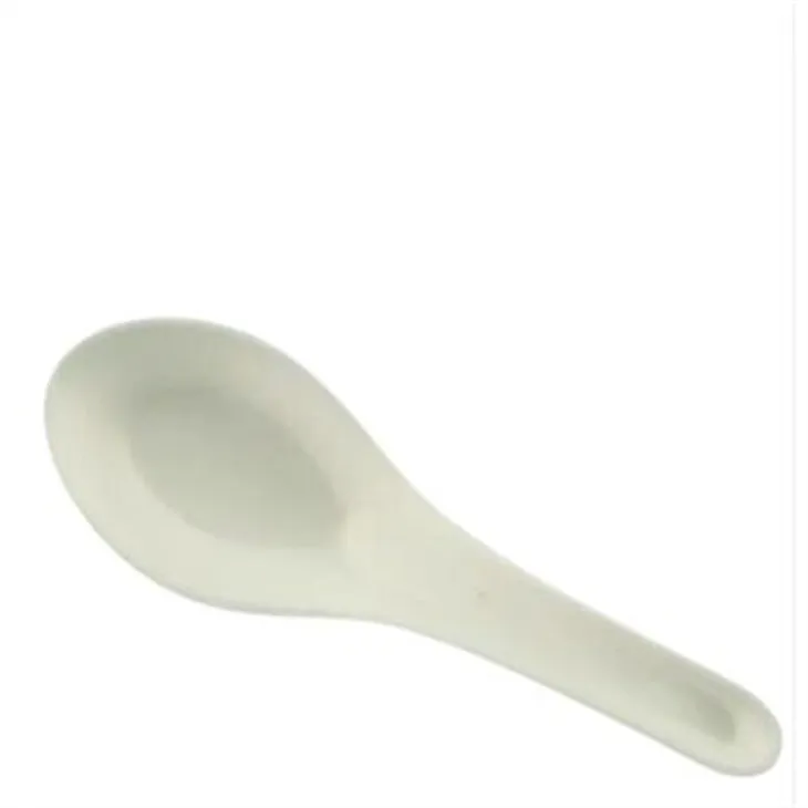 Bagasse Spoon