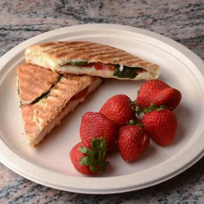 Десет{0}}инчови плочи от захарна тръстика